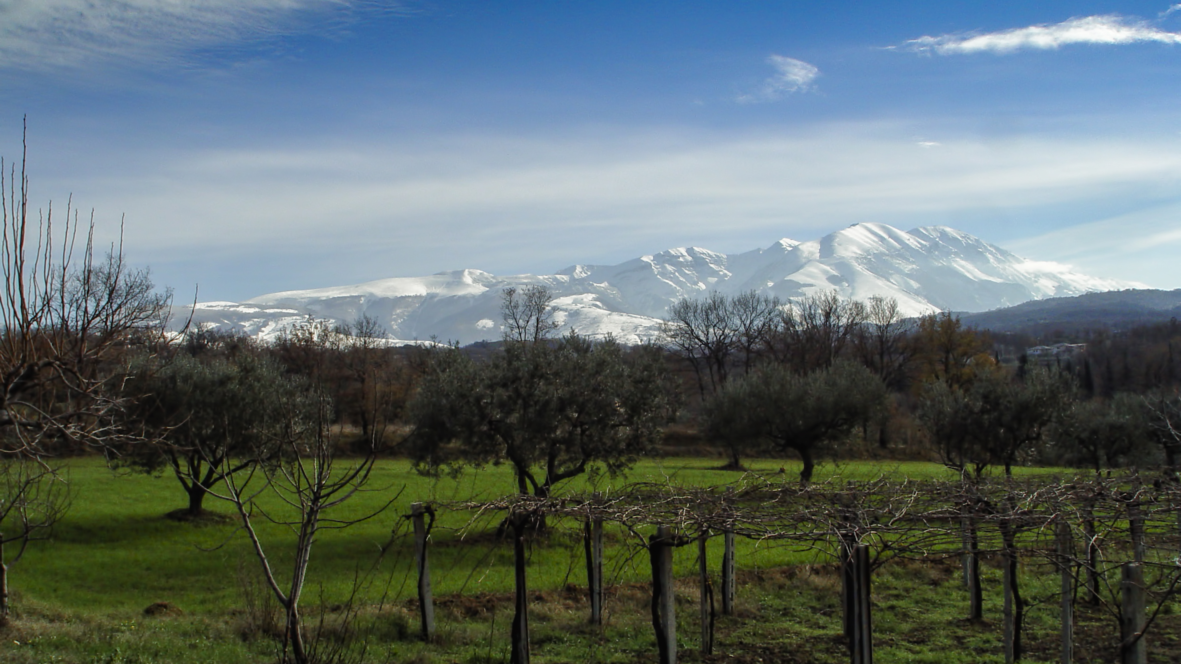 Inverno 1